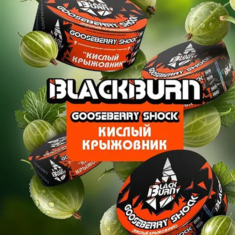 Табак Black Burn - Gooseberry Shock (Кислый крыжовник) 25 гр